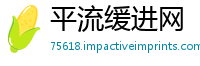 平流缓进网